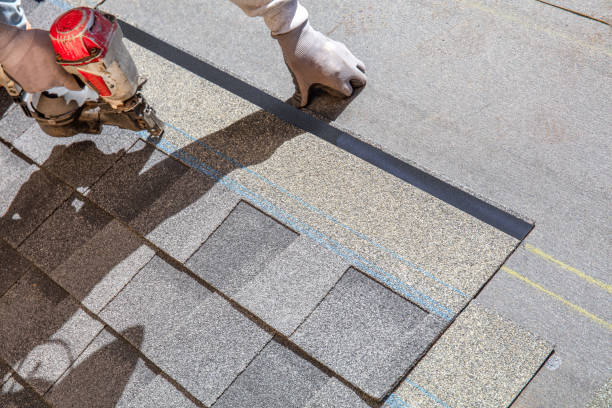 Best Flat Roof Repair Services  in La Porte, IN