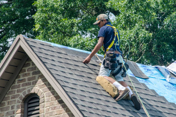 Best New Roof Installation  in La Porte, IN